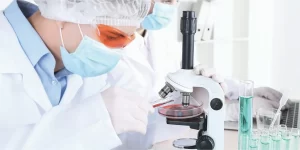 Publicaciones científicas IIMAN Apiterapia