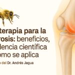 Ilustración médica con abeja y articulación de rodilla representando la apiterapia para la artrosis, un tratamiento natural con veneno de abeja que ayuda a reducir la inflamación y el dolor articular
