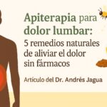 Productos de la colmena para fortalecer el sistema inmune como miel y propóleo en un contexto de salud natural