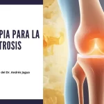 Apiterapia en la artrosis con productos de la abeja que ayudan a proteger las articulaciones y el cartílago articular