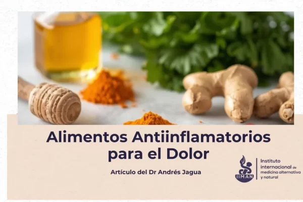 Alimentación antiinflamatoria para el dolor basada en alimentos naturales con evidencia científica