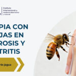 Terapia con abejas en artritis y artrosis mediante aplicación de veneno de abeja (apitoxina) sobre la piel en contexto terapéutico médico