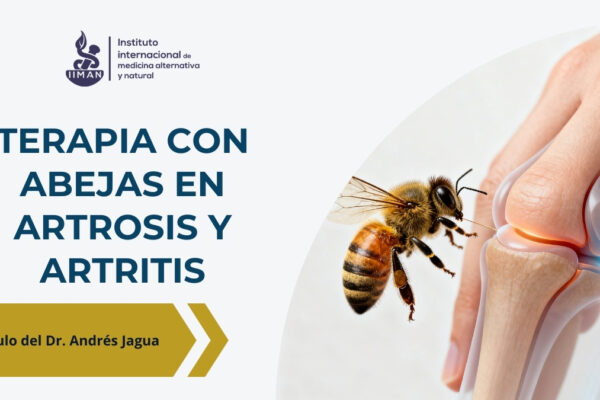 Terapia con abejas en artritis y artrosis mediante aplicación de veneno de abeja (apitoxina) sobre la piel en contexto terapéutico médico