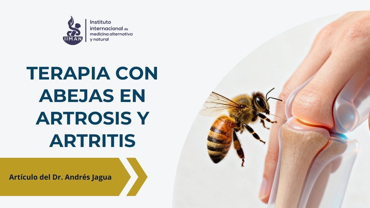 Terapia con abejas en artritis y artrosis mediante aplicación de veneno de abeja (apitoxina) sobre la piel en contexto terapéutico médico