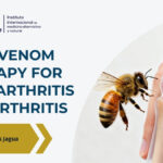 Bee therapy for arthritis and osteoarthritis using bee venom (apitoxin) applied to the skin in a medical therapeutic context
